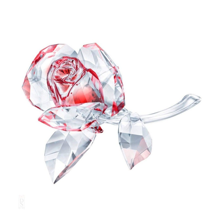 Swarovski Swarovski Bluehende Rose Rot 5428561 | Accessoires & Zubehor