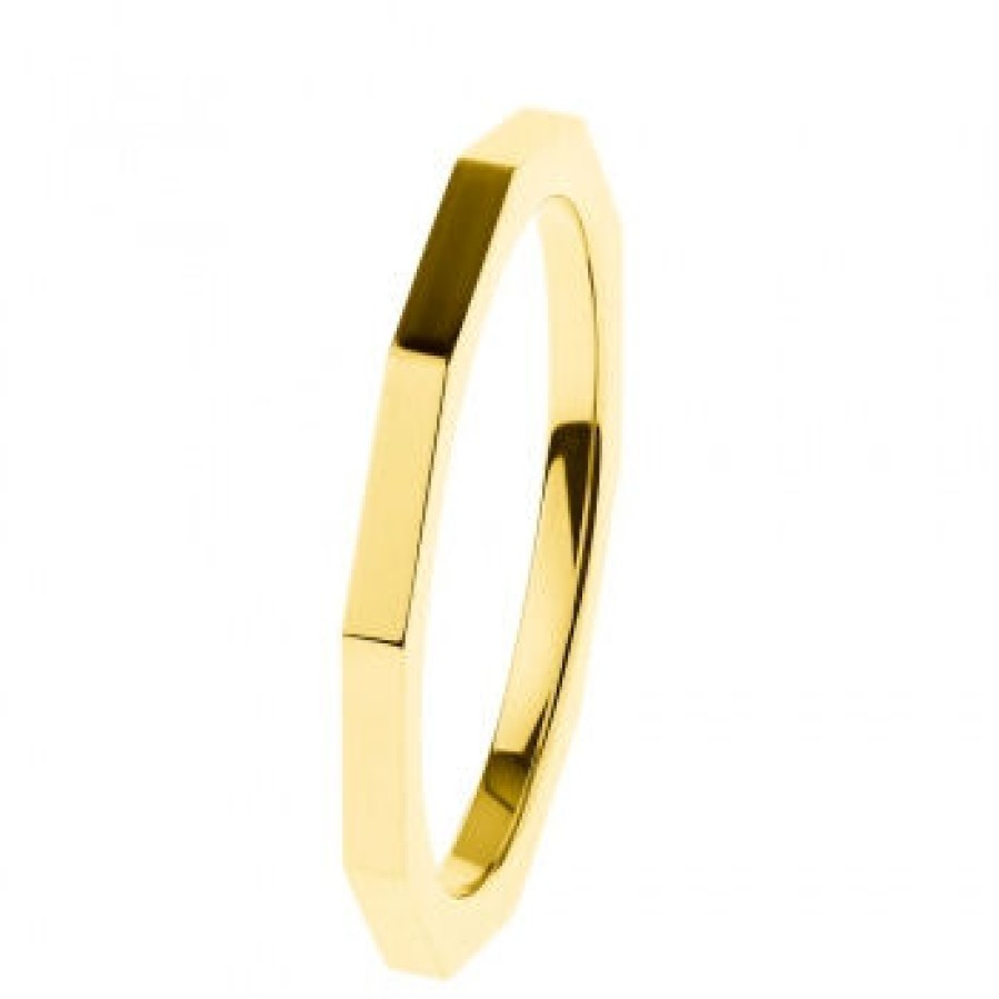 Ernstes Design Ernstes Design Damen Ring Evia Grose 54 Gold R585.54 | Ringe