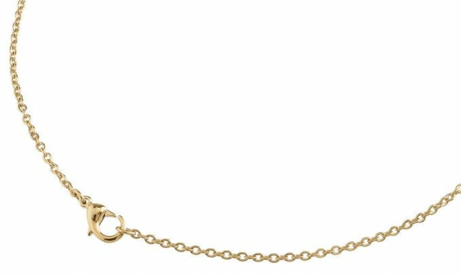 Boccia Boccia Damen Collier Ankerkette 55Cm Gold 08027-0255 | Halsketten