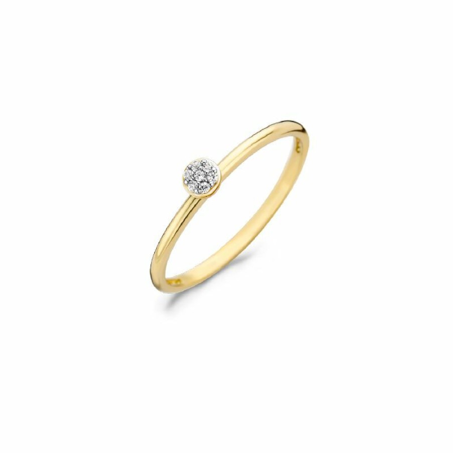 Blush Blush Damen Ring Mit Zirkonia Grose 54 585Er Gold 1199Yzi/54 | Ringe